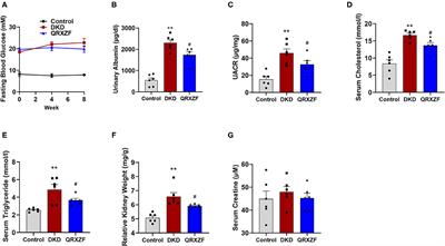 Qing-Re-Xiao-Zheng Formula Modulates Gut Microbiota and Inhibits Inflammation in Mice With Diabetic Kidney Disease